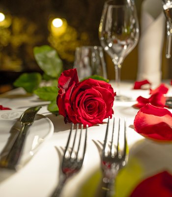 St. Valentines menu (14th February 2025) - Gourmet restaurant in Prague