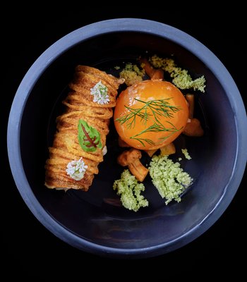 Kulajda Mushrooms / Potatoes / Dill / Eggs - Gourmet restaurant in Prague