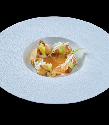 Prague Triton Restaurant - Fine Dining at its Best - Prague Triton Restaurant - Fine Dining at its Best