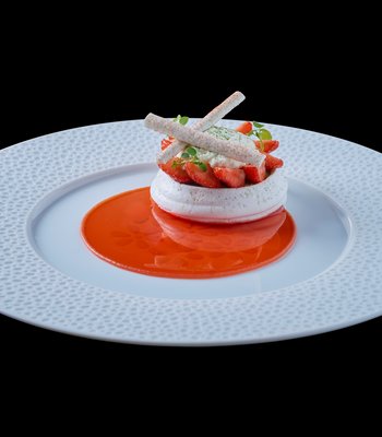 Prague Triton Restaurant - Fine Dining at its Best - Prague Triton Restaurant - Fine Dining at its Best